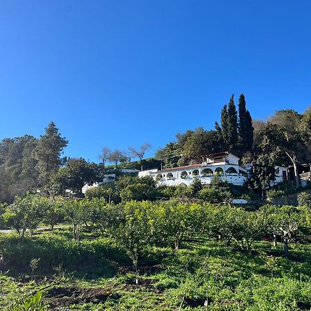 Finca Los Arcos Del Laurel Moya  Bagian luar foto