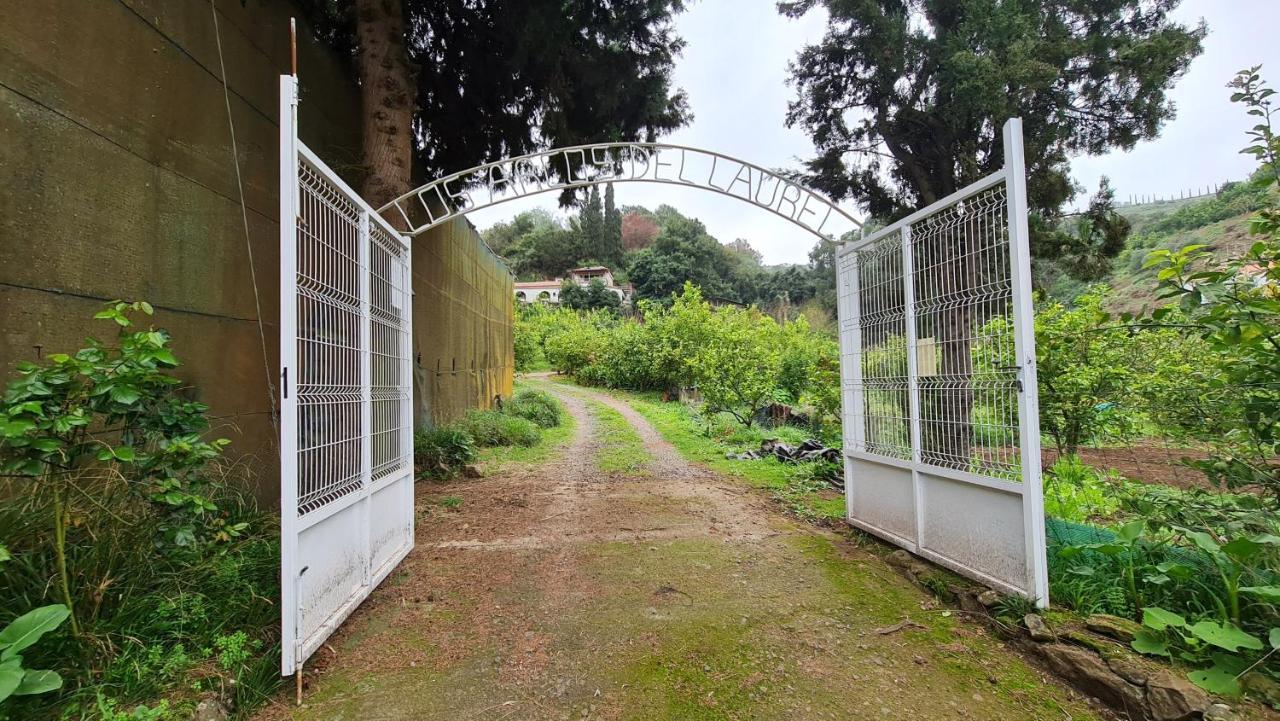 Finca Los Arcos Del Laurel Moya  Bagian luar foto