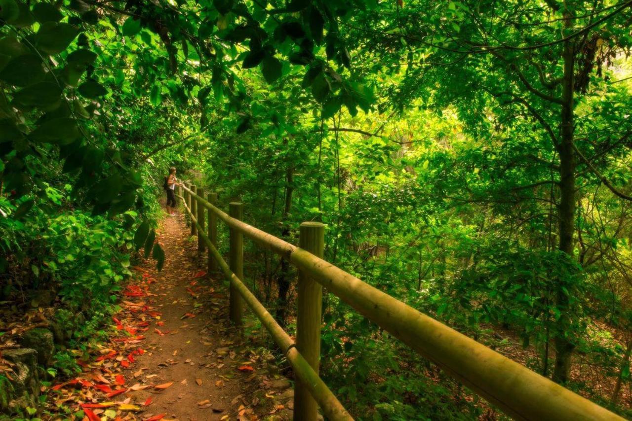 Finca Los Arcos Del Laurel Moya  Bagian luar foto