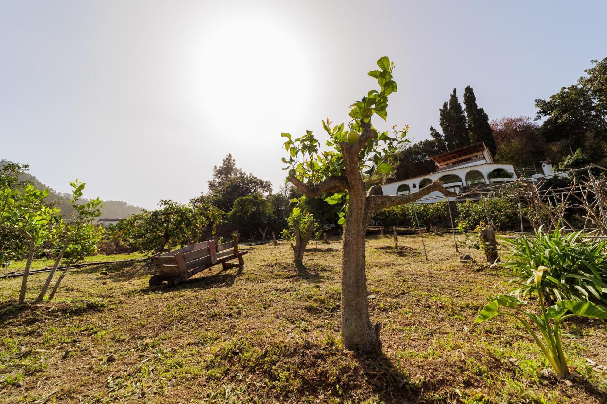 Finca Los Arcos Del Laurel Moya  Bagian luar foto