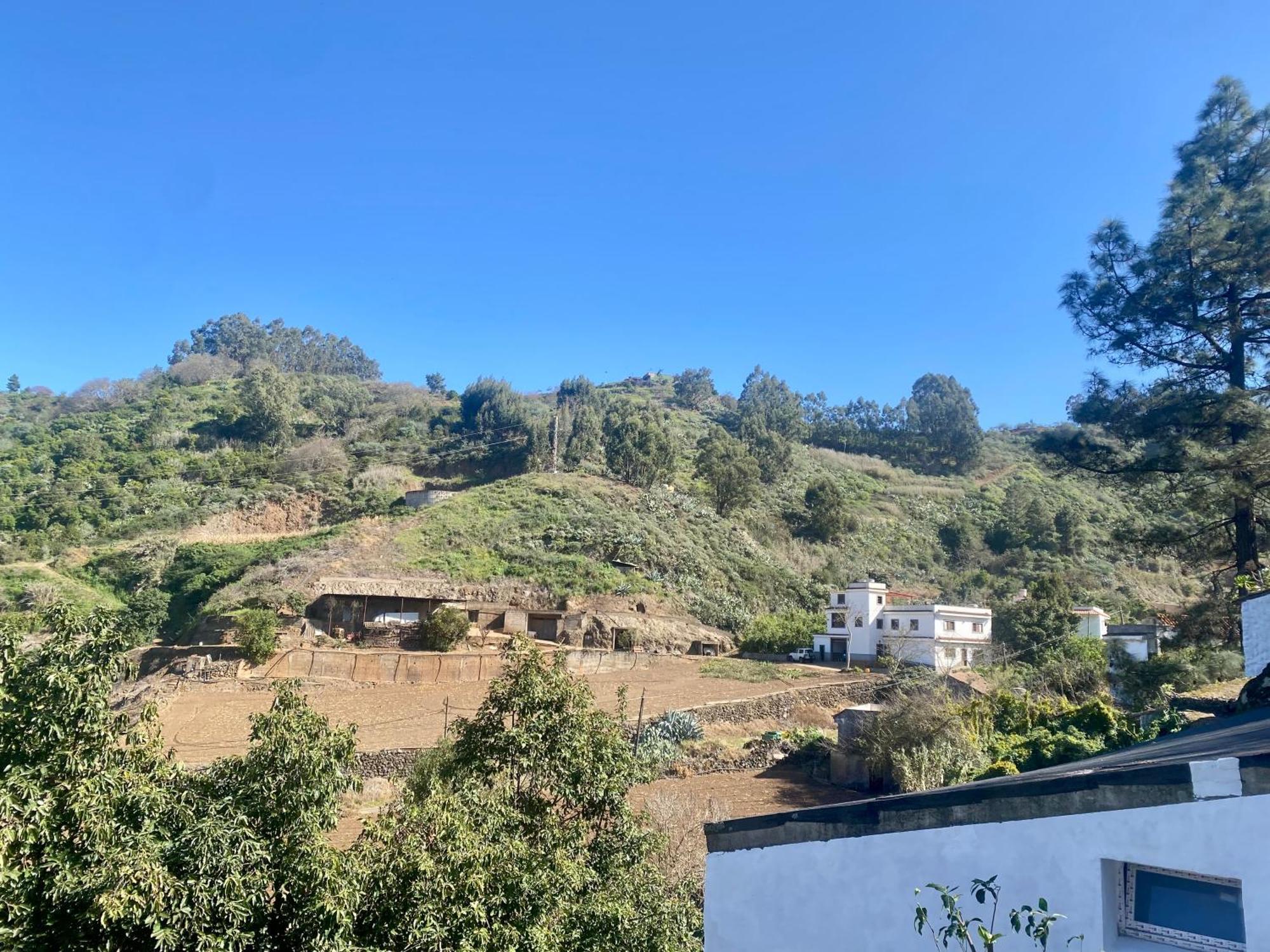 Finca Los Arcos Del Laurel Moya  Bagian luar foto