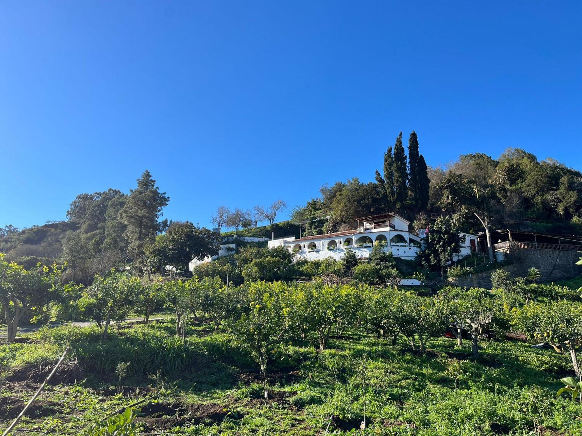 Finca Los Arcos Del Laurel Moya  Bagian luar foto