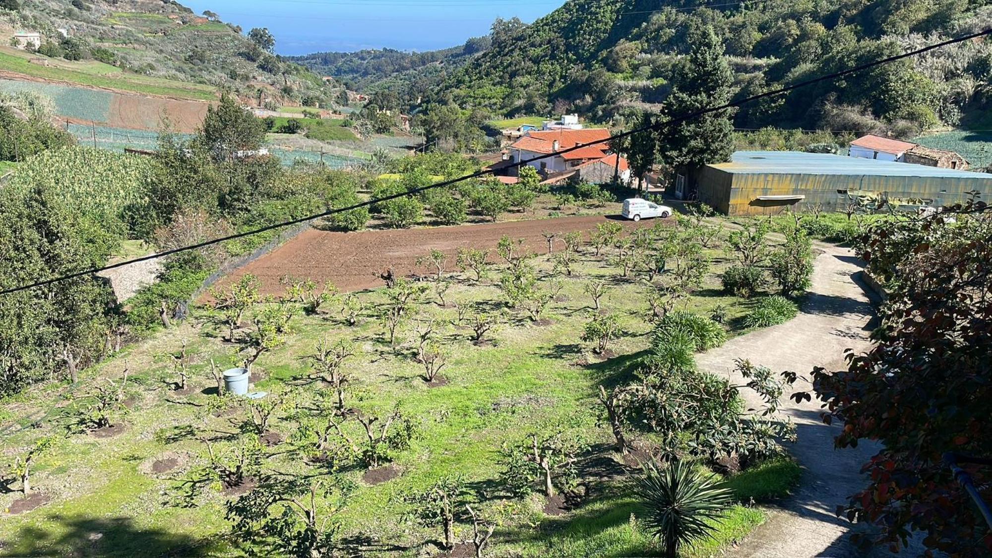 Finca Los Arcos Del Laurel Moya  Bagian luar foto