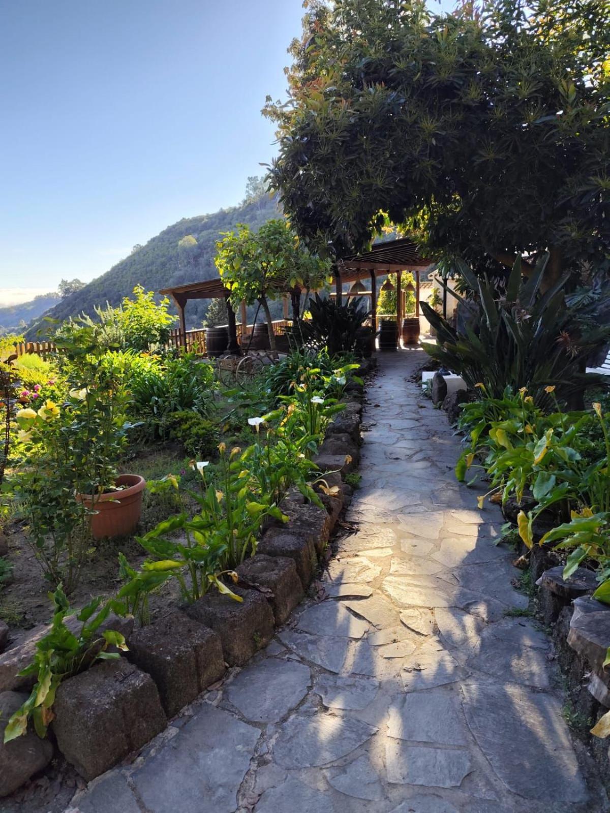 Finca Los Arcos Del Laurel Moya  Bagian luar foto