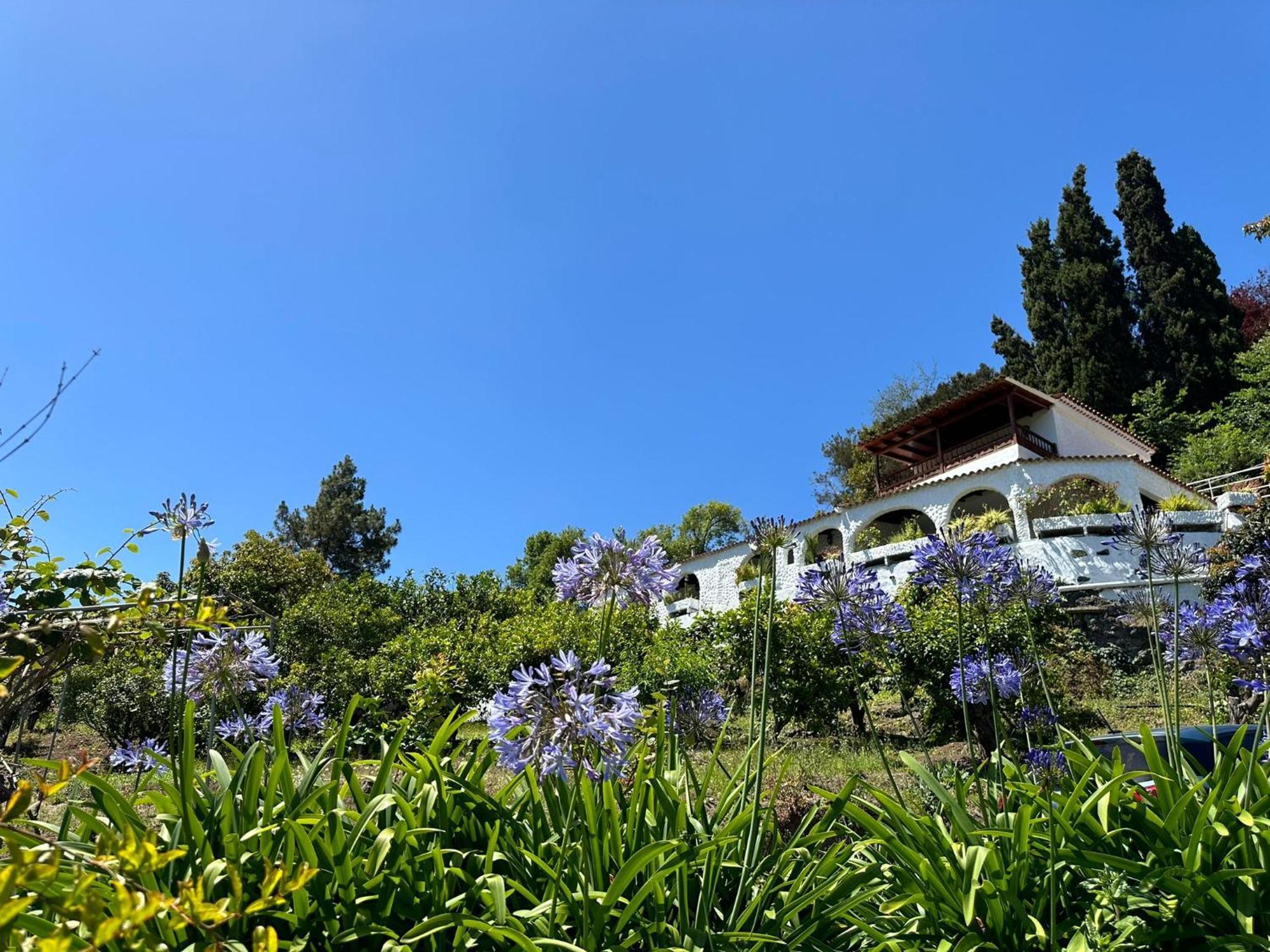 Finca Los Arcos Del Laurel Moya  Bagian luar foto